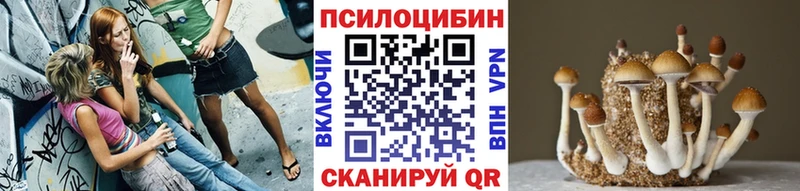 Галлюциногенные грибы прущие грибы  kraken ССЫЛКА  Сердобск  купить  