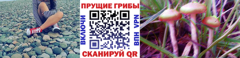 Псилоцибиновые грибы MAGIC MUSHROOMS Сердобск