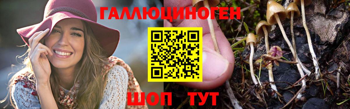 Галлюциногенные грибы ЛСД Сердобск